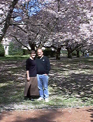 At home amid the gently falling blossoms...